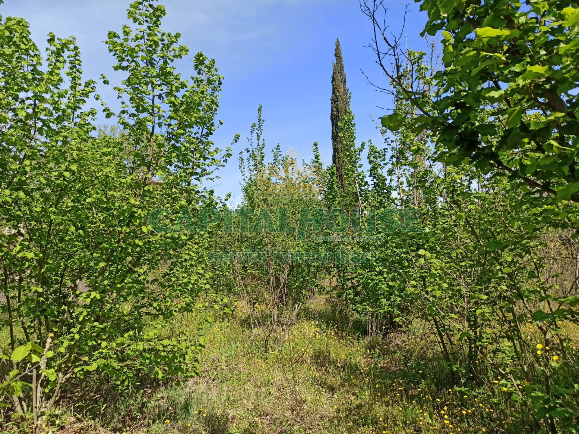 Terreno agricolo in vendita a San Giuseppe Vesuviano