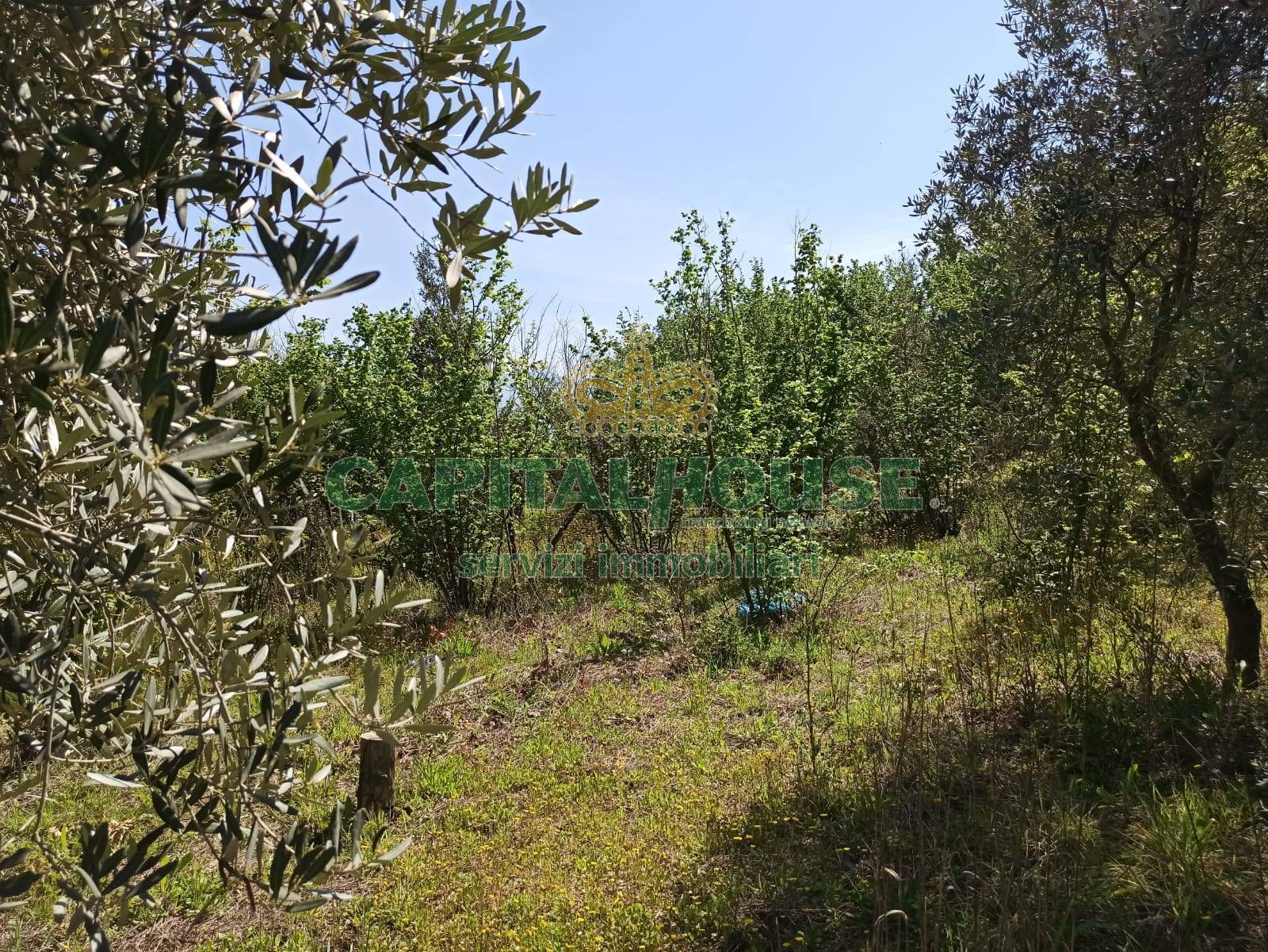 Terreno agricolo in vendita a San Giuseppe Vesuviano