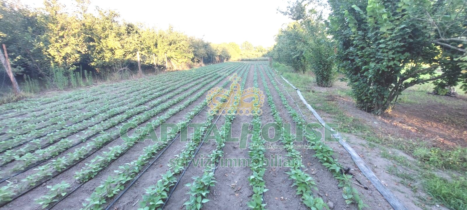 Rudere in vendita a Striano