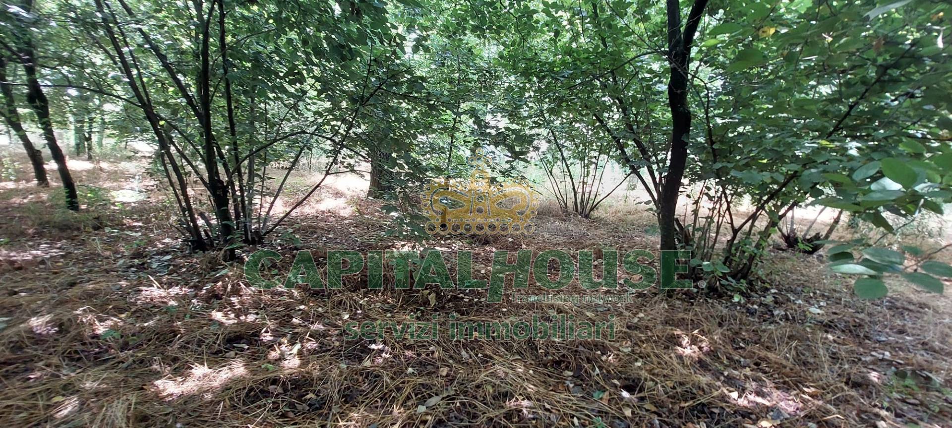 Terreno agricolo in affitto a San Gennaro Vesuviano