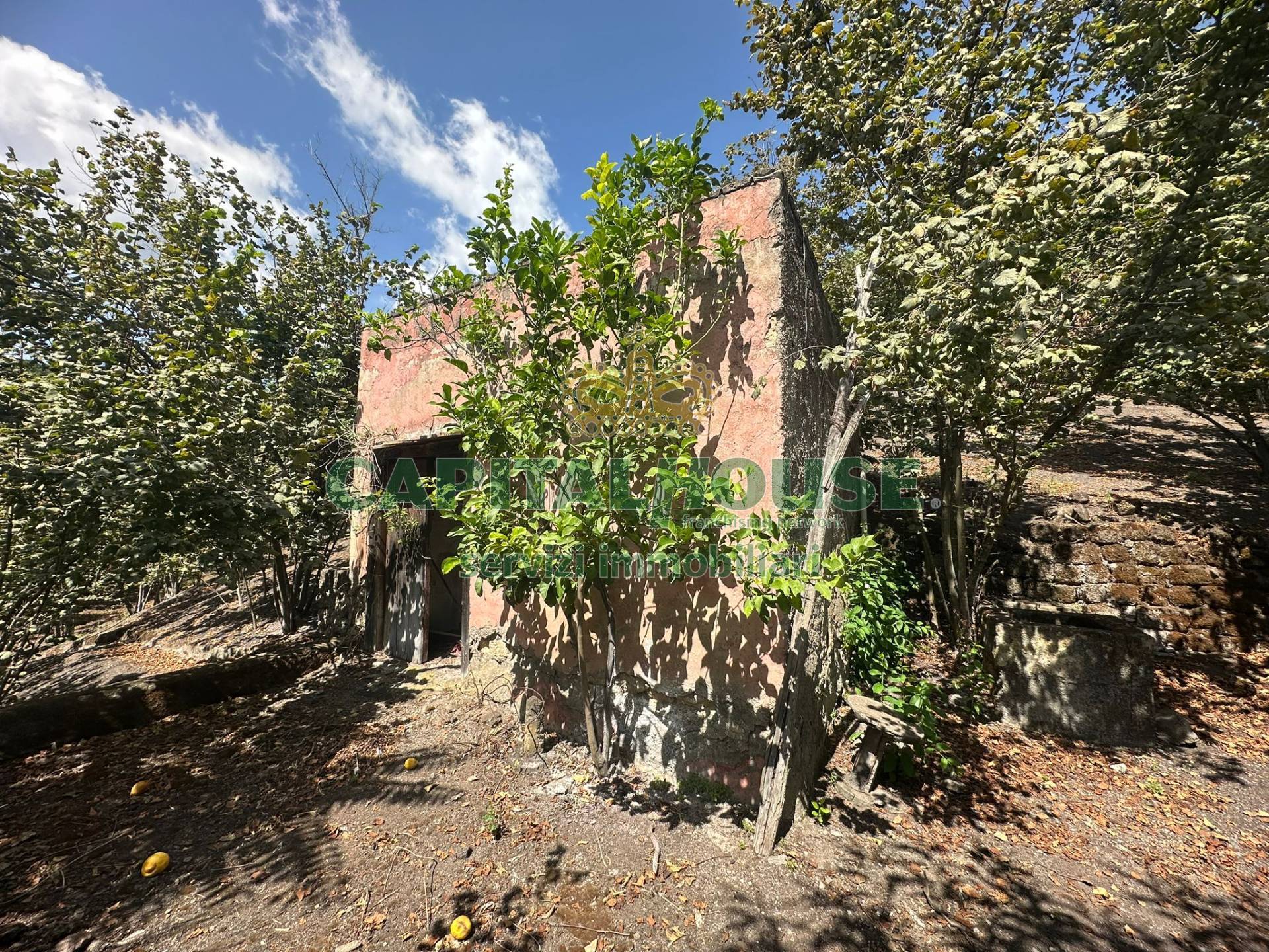 Terreno agricolo in vendita a Ottaviano