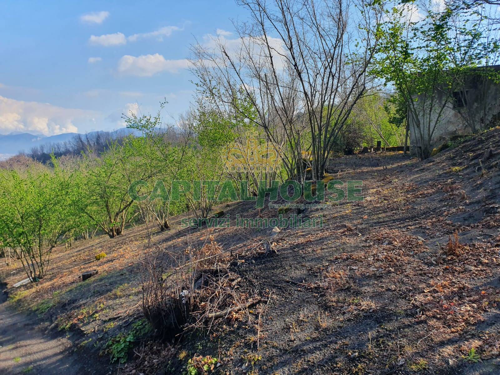 Terreno agricolo in vendita a Ottaviano
