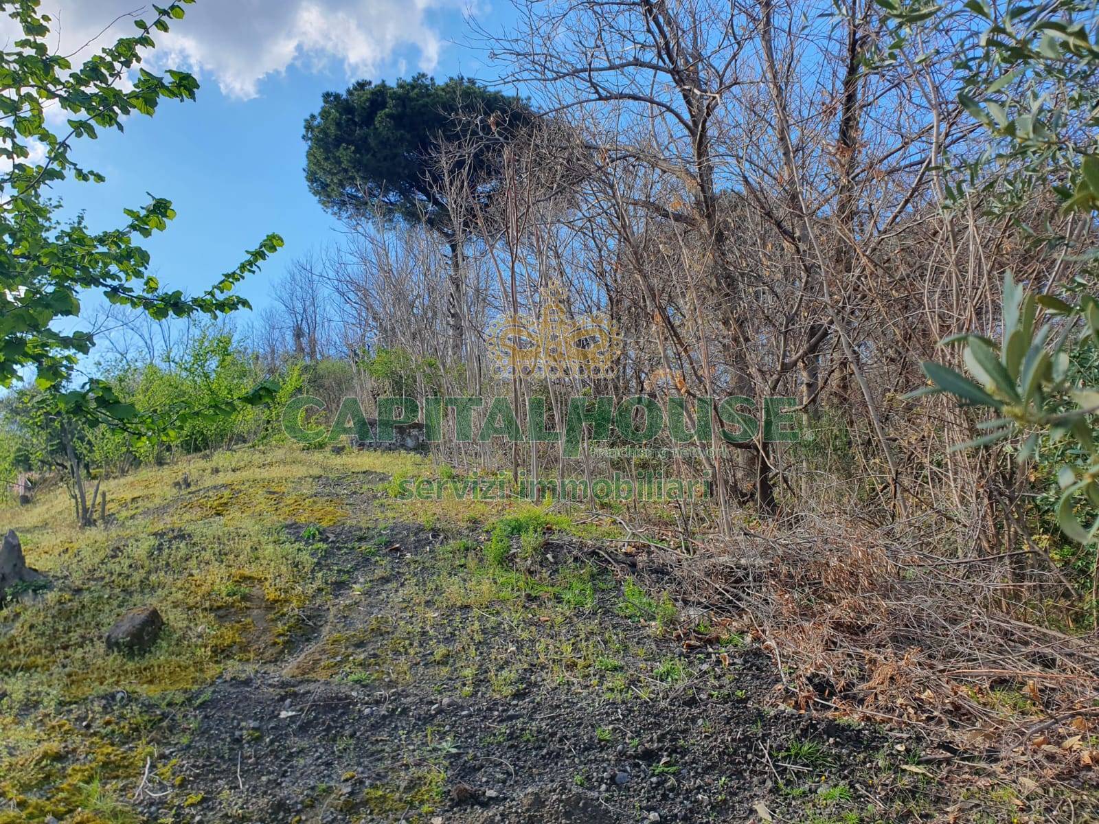 Terreno agricolo in vendita a Ottaviano