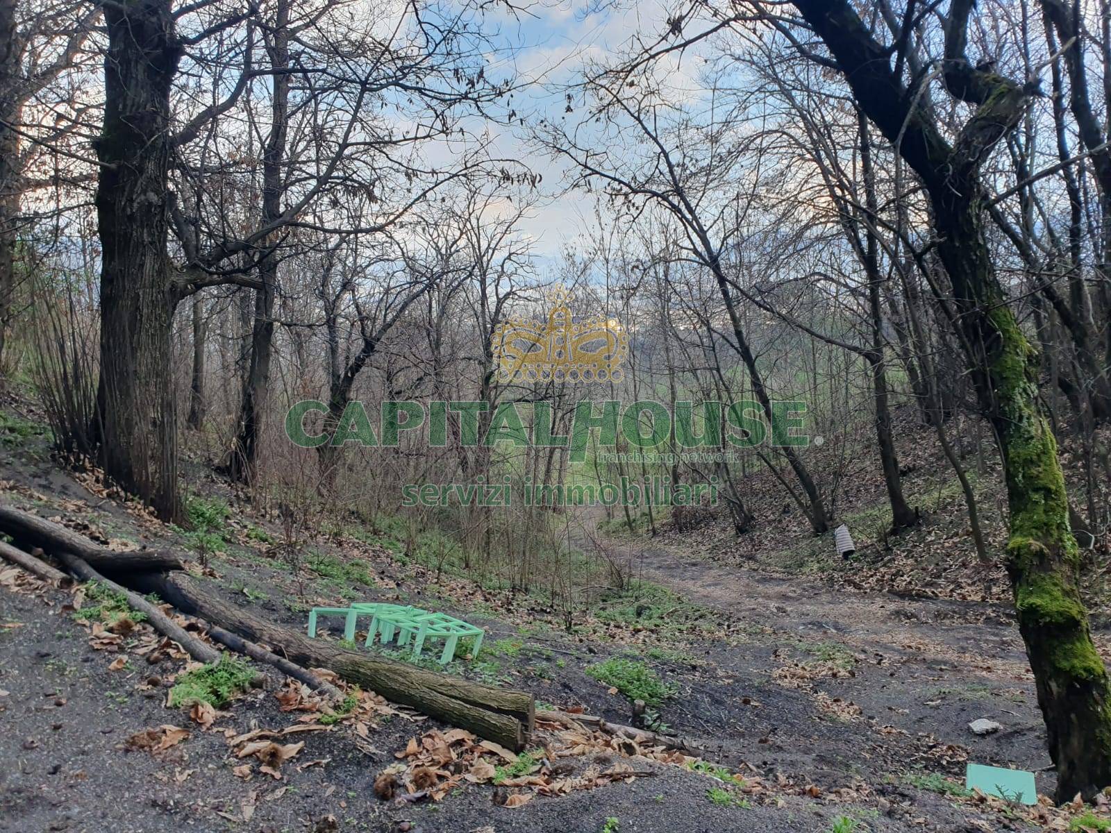 Terreno agricolo in vendita a Ottaviano