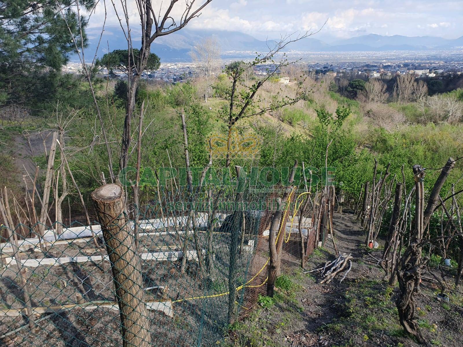 Terreno agricolo in vendita a Ottaviano