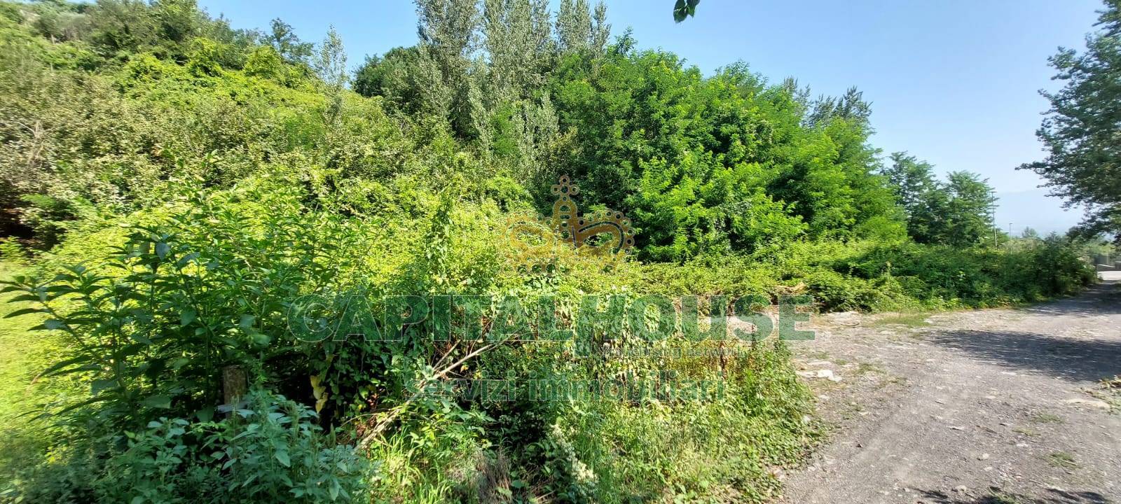 Terreno agricolo in vendita a Ottaviano