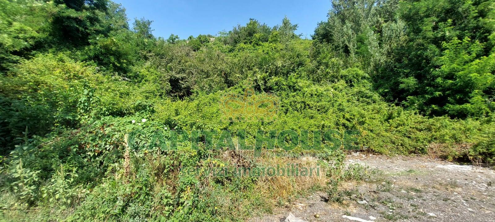 Terreno agricolo in vendita a Ottaviano