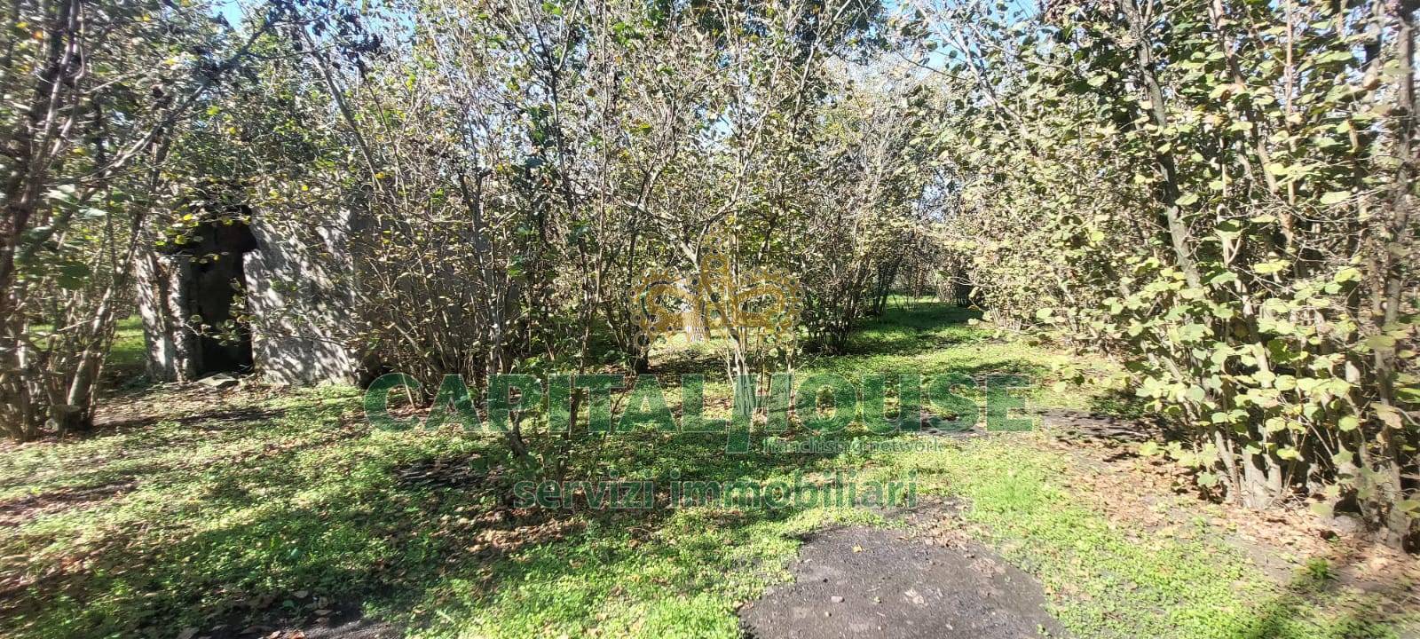 Terreno agricolo in vendita a Poggiomarino