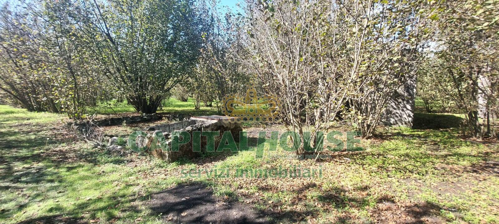 Terreno agricolo in vendita a Poggiomarino