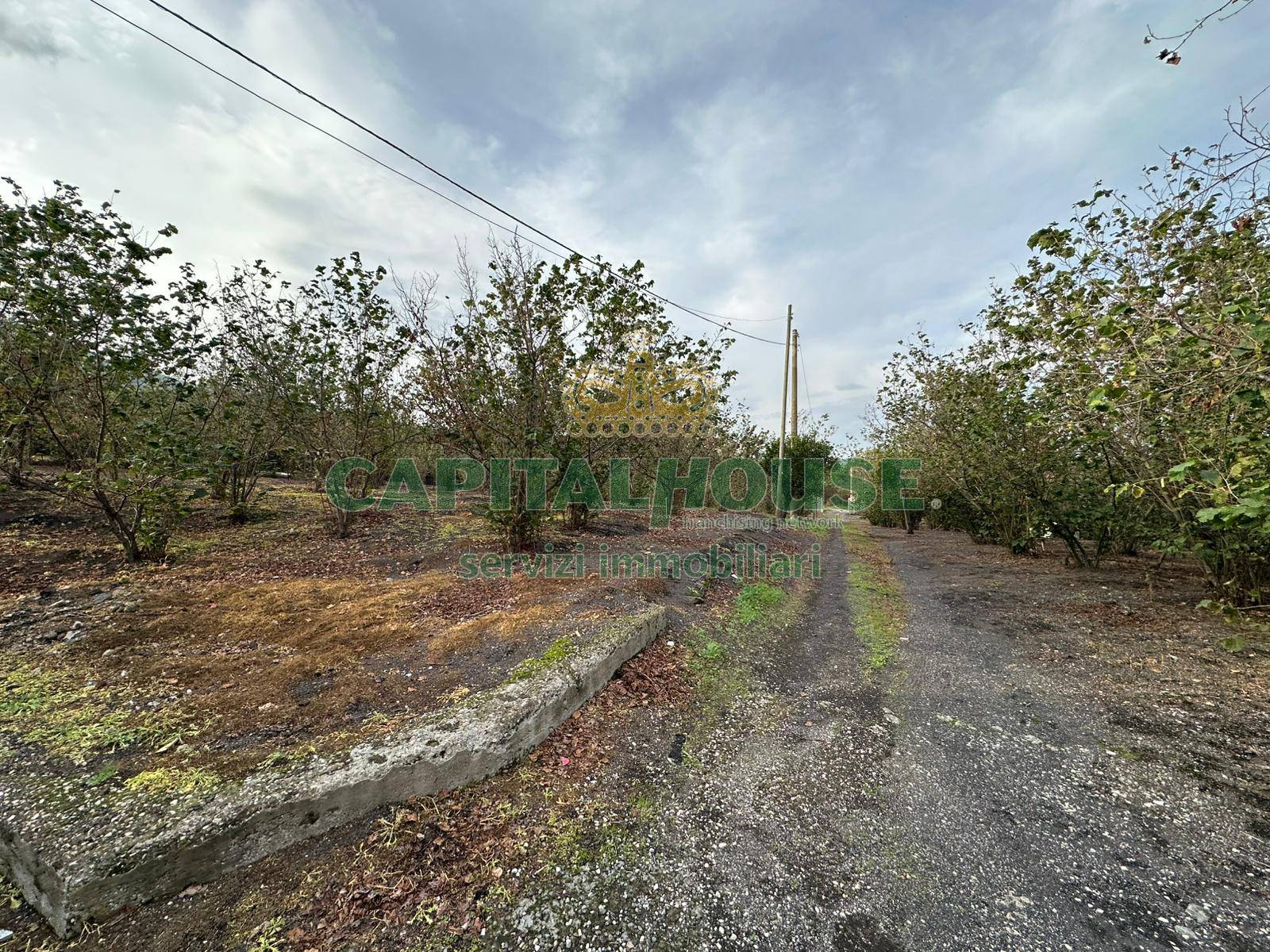 Terreno agricolo in vendita a Ottaviano