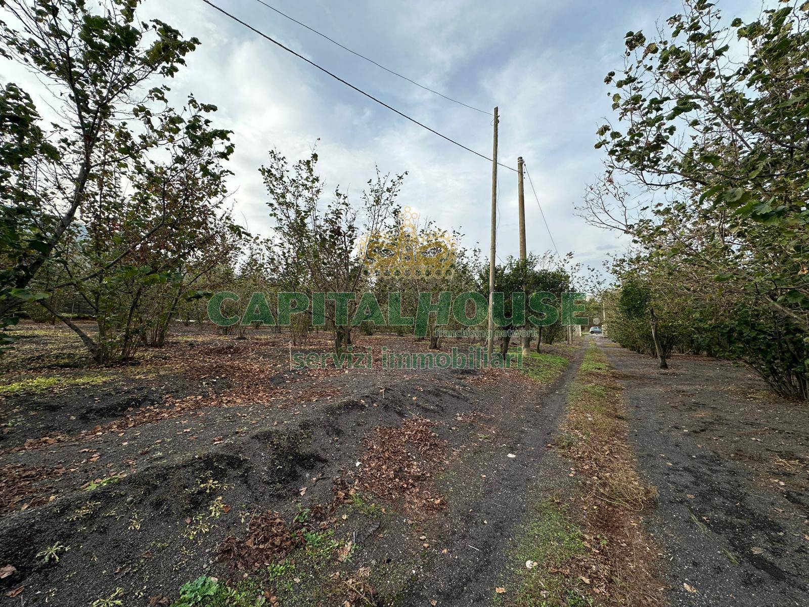Terreno agricolo in vendita a Ottaviano
