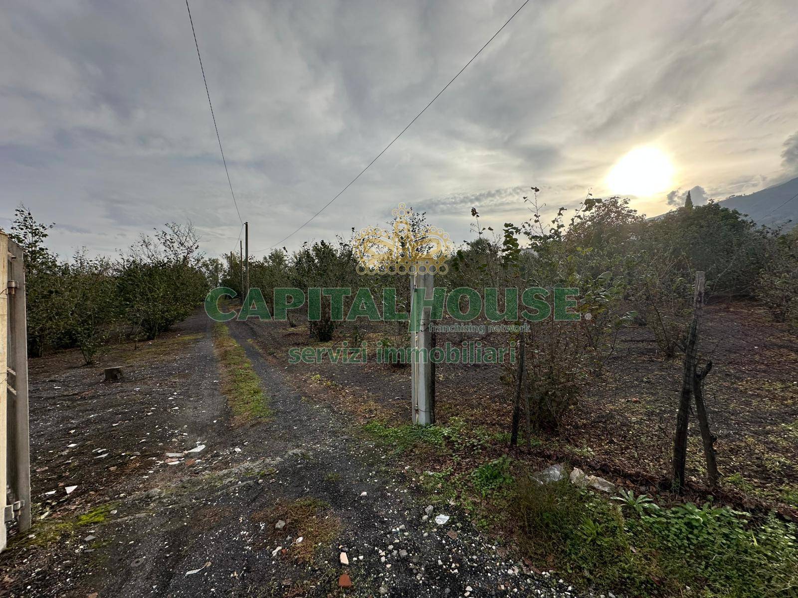 Terreno agricolo in vendita a Ottaviano