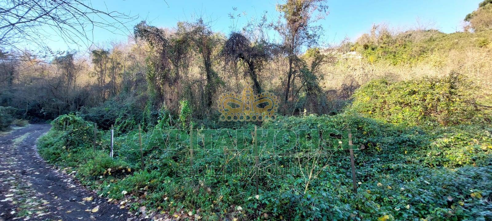 Terreno agricolo in vendita a Ottaviano