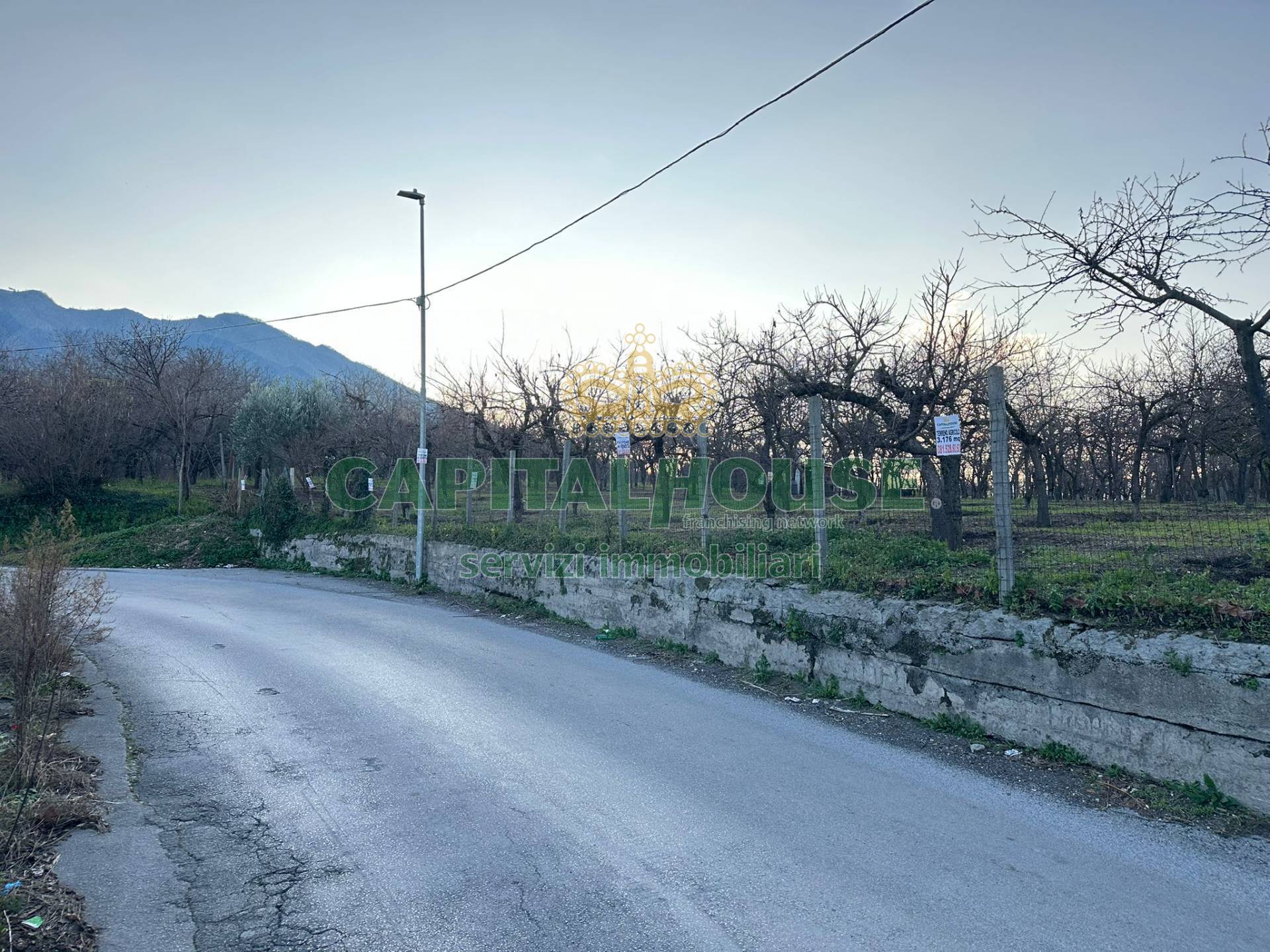 Terreno agricolo in vendita a Somma Vesuviana