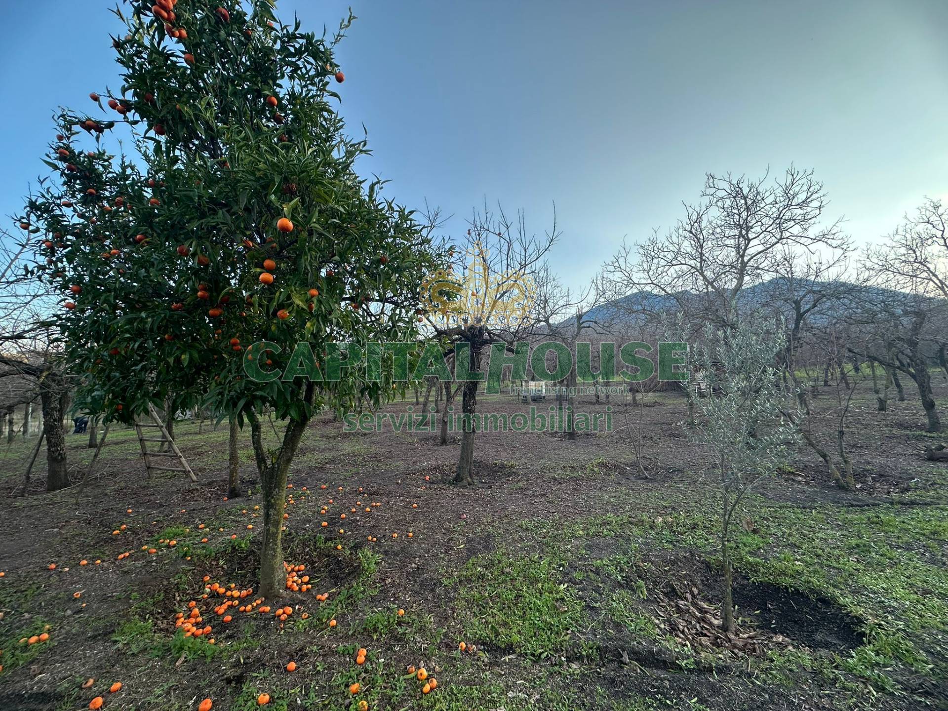 Terreno agricolo in vendita a Somma Vesuviana