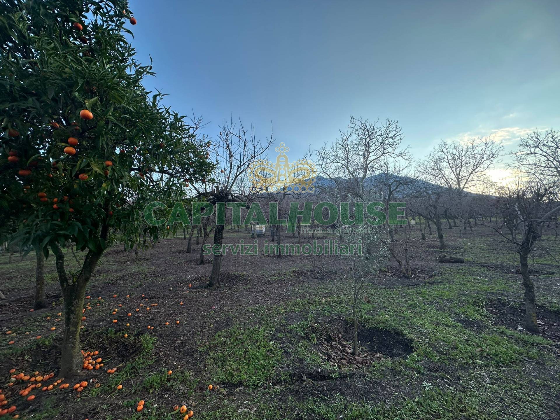 Terreno agricolo in vendita a Somma Vesuviana