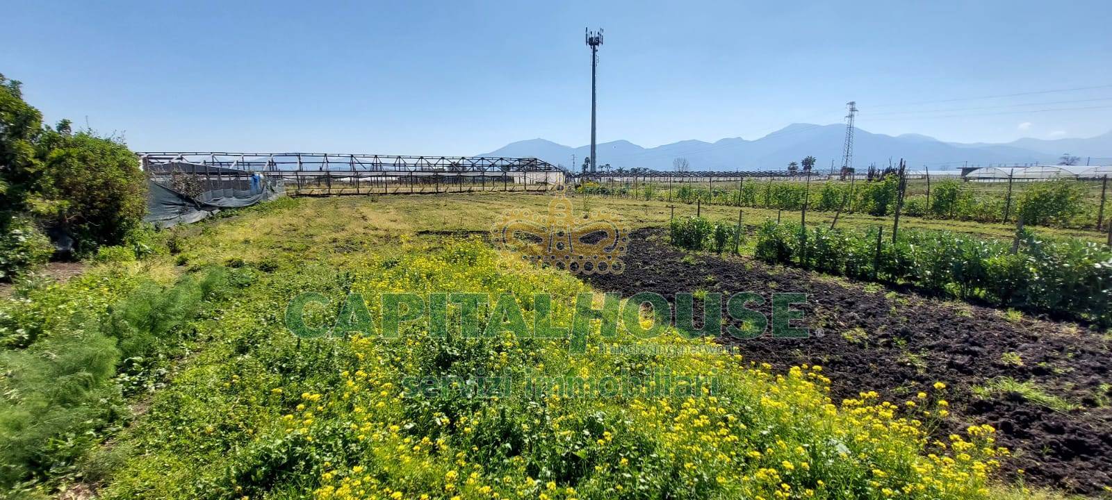 Terreno agricolo in vendita a Poggiomarino