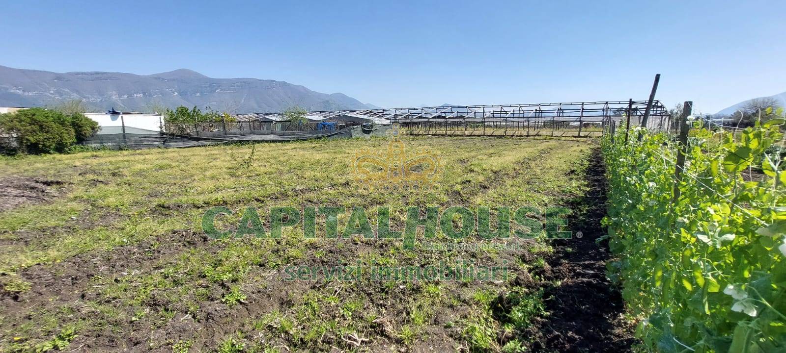 Terreno agricolo in vendita a Poggiomarino