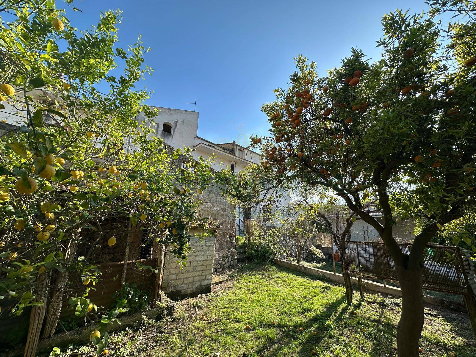 Casa Multifamiliare in vendita a Domicella, Casola