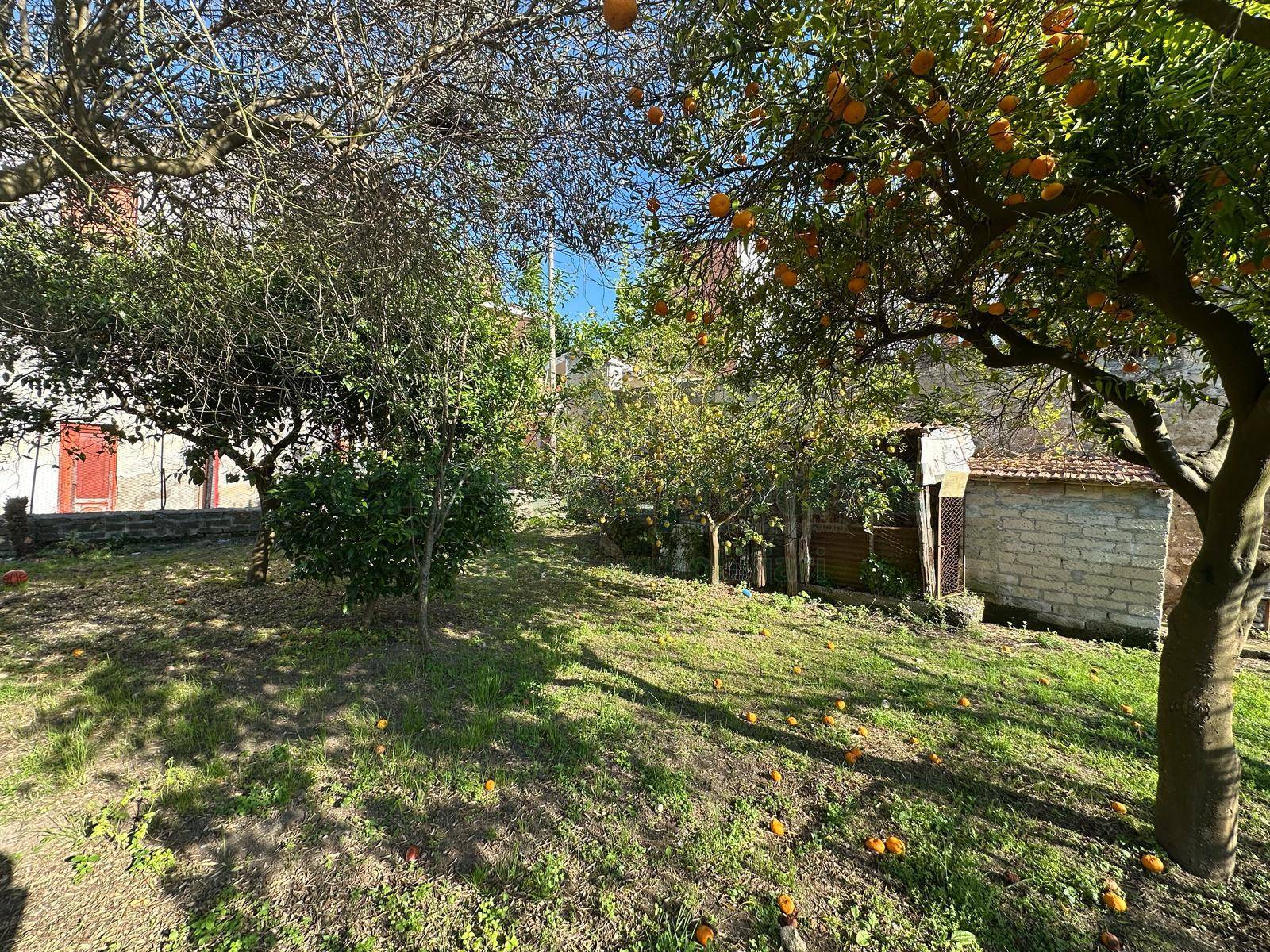 Casa Multifamiliare in vendita a Domicella, Casola