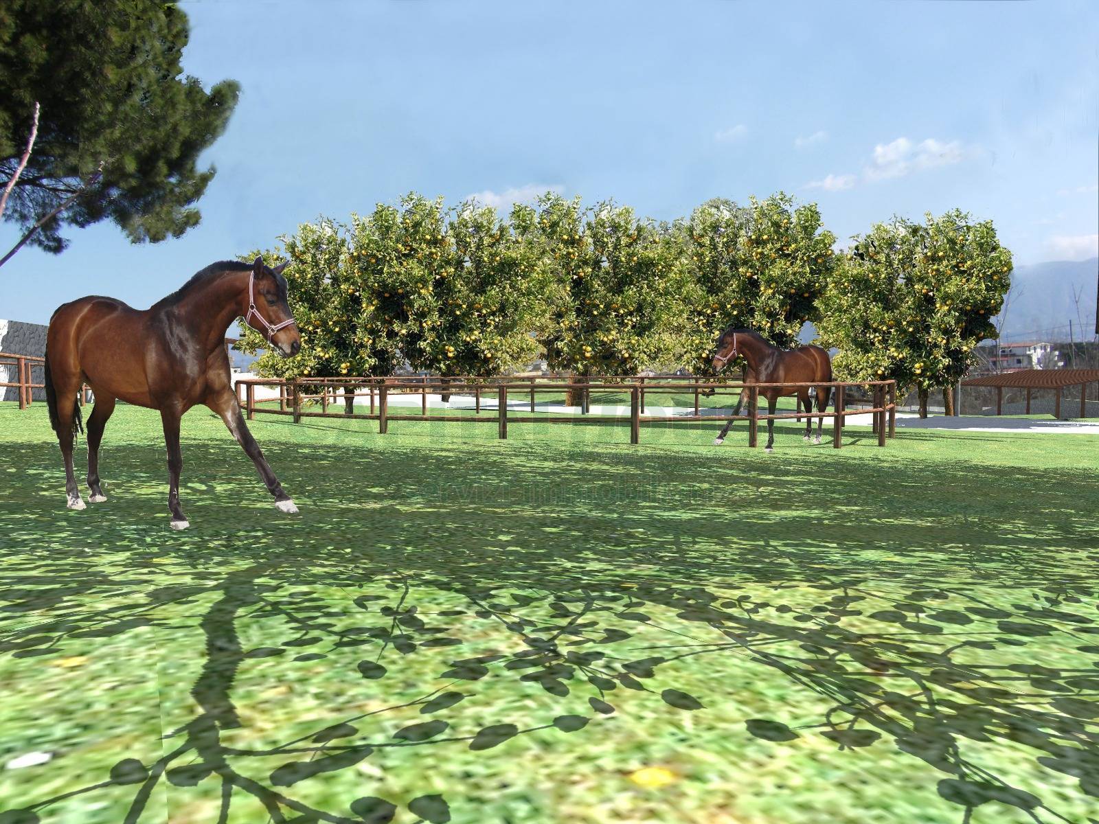 Terreno pianeggiante in vendita a Terzigno