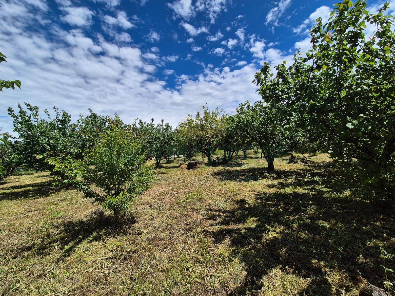 Terreno agricolo in vendita a Somma Vesuviana