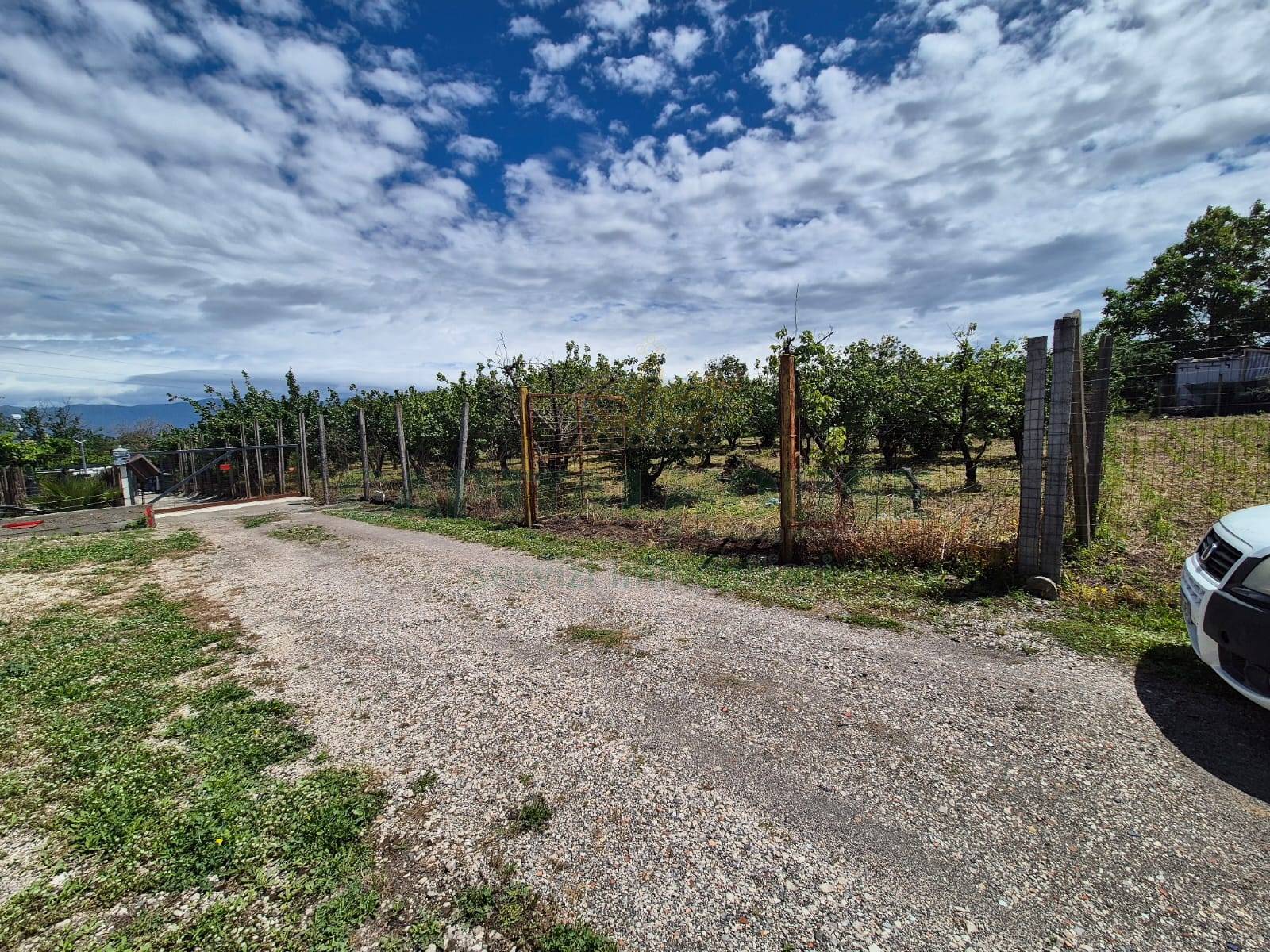 Terreno agricolo in vendita a Somma Vesuviana