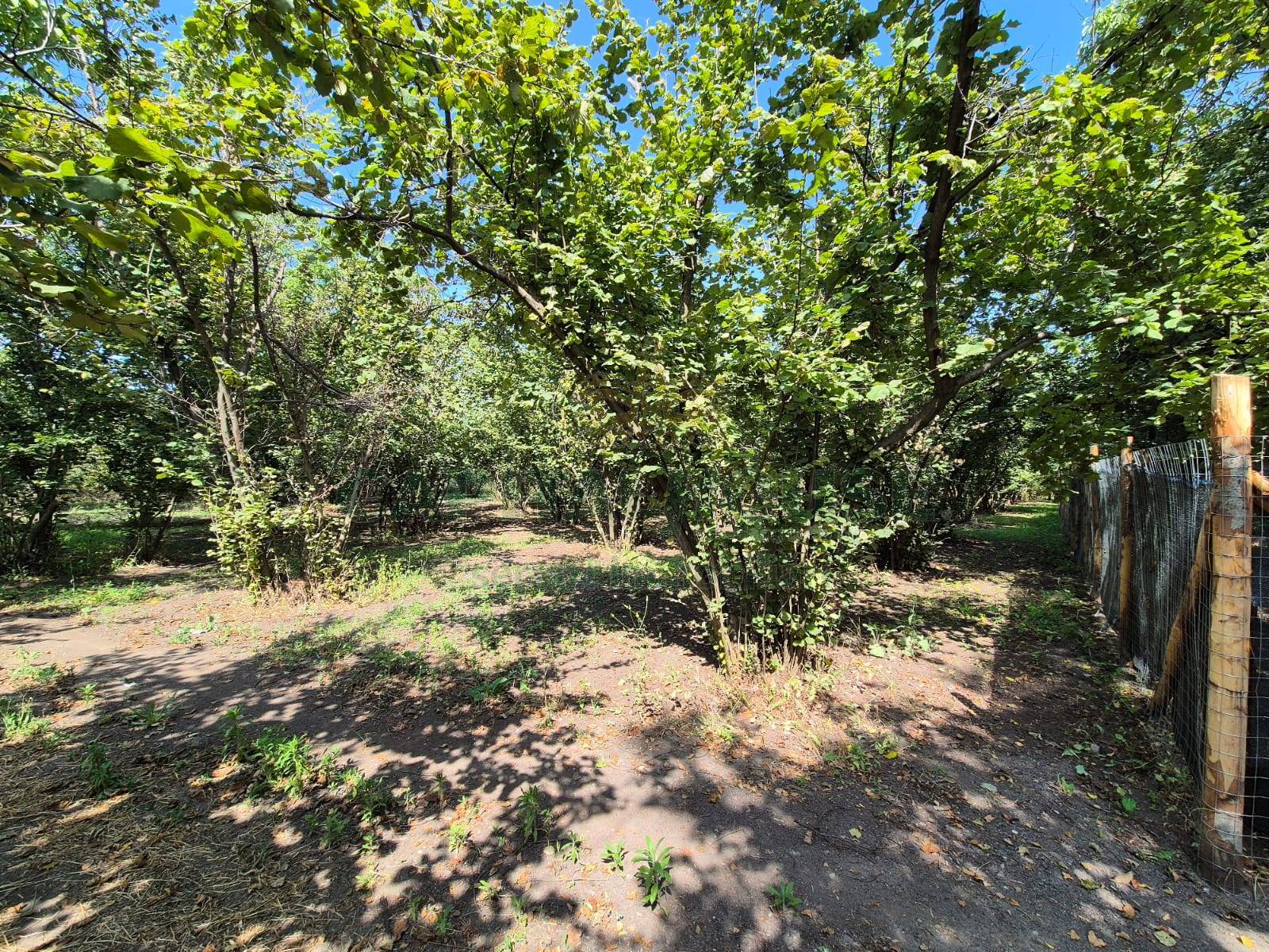 Terreno agricolo in vendita a Terzigno