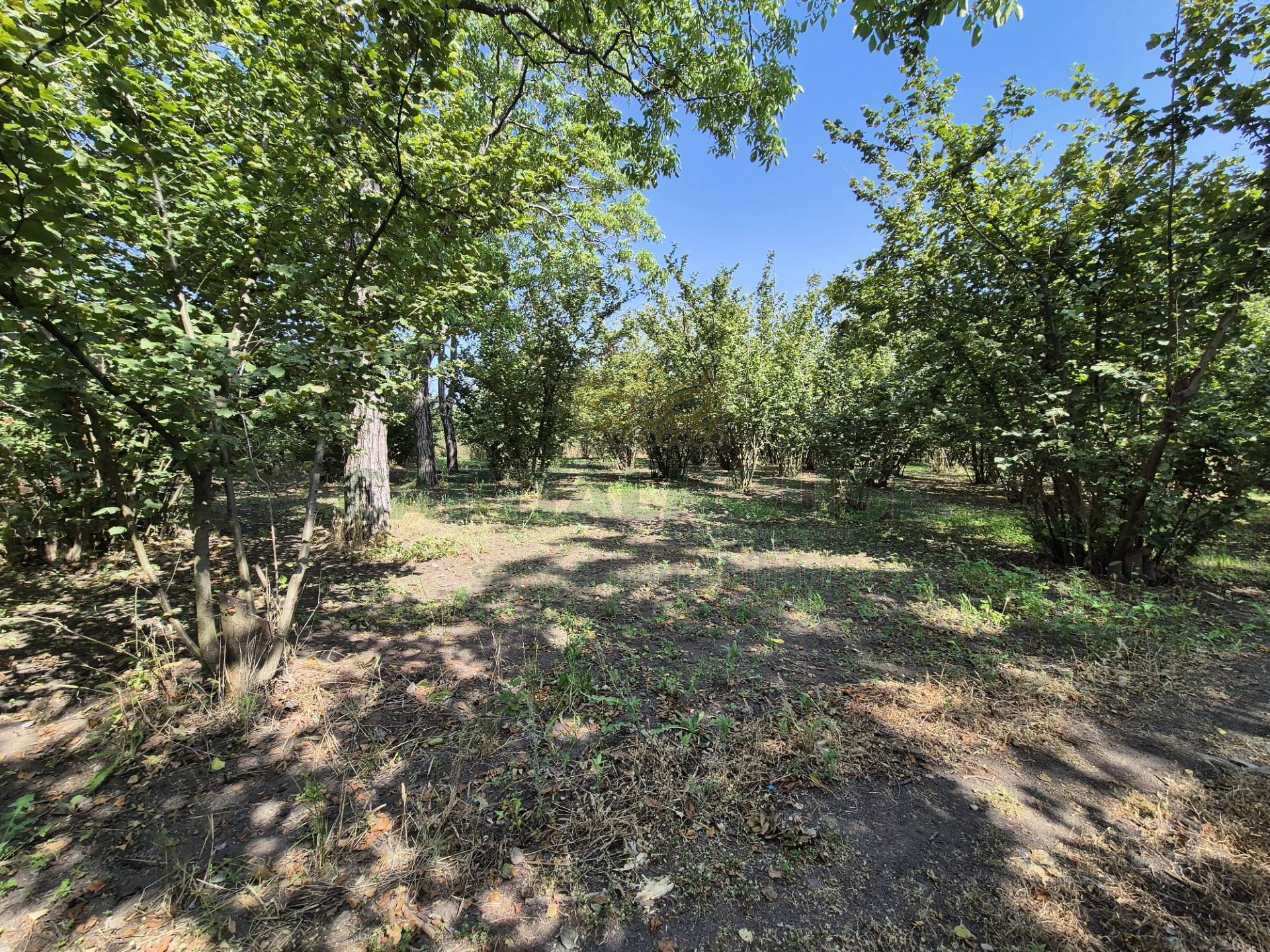 Terreno agricolo in vendita a Terzigno