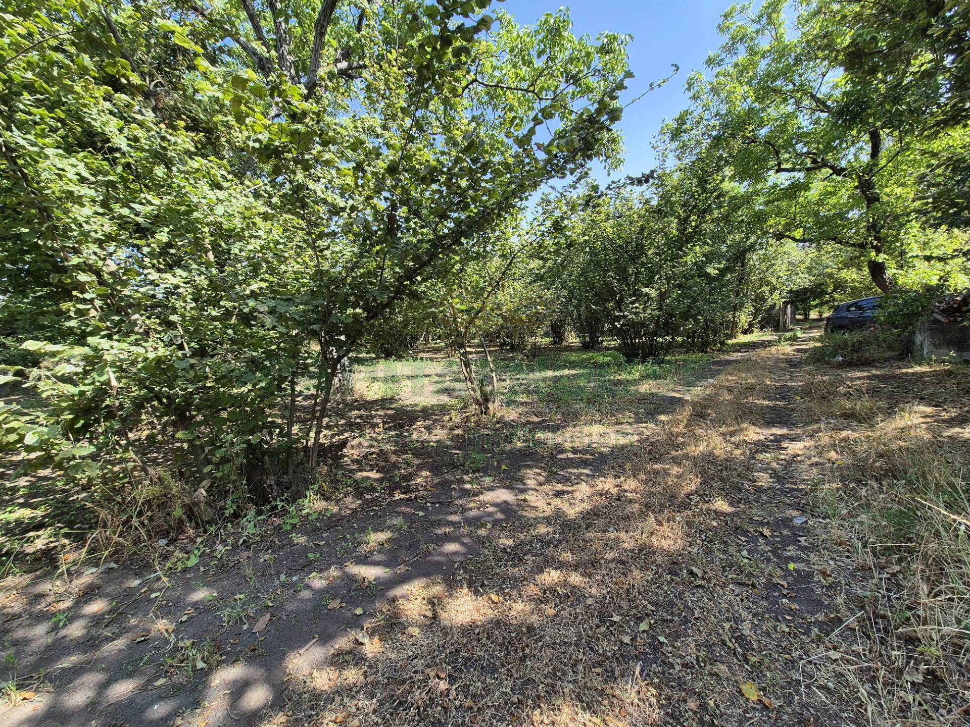 Terreno agricolo in vendita a Terzigno