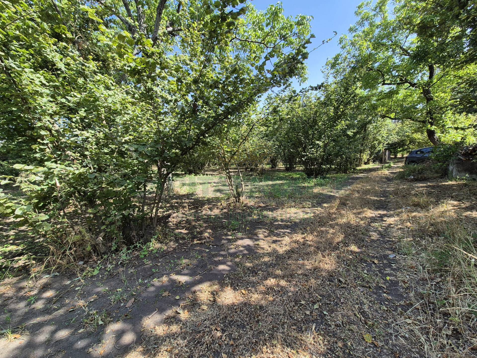Terreno agricolo in vendita a Terzigno