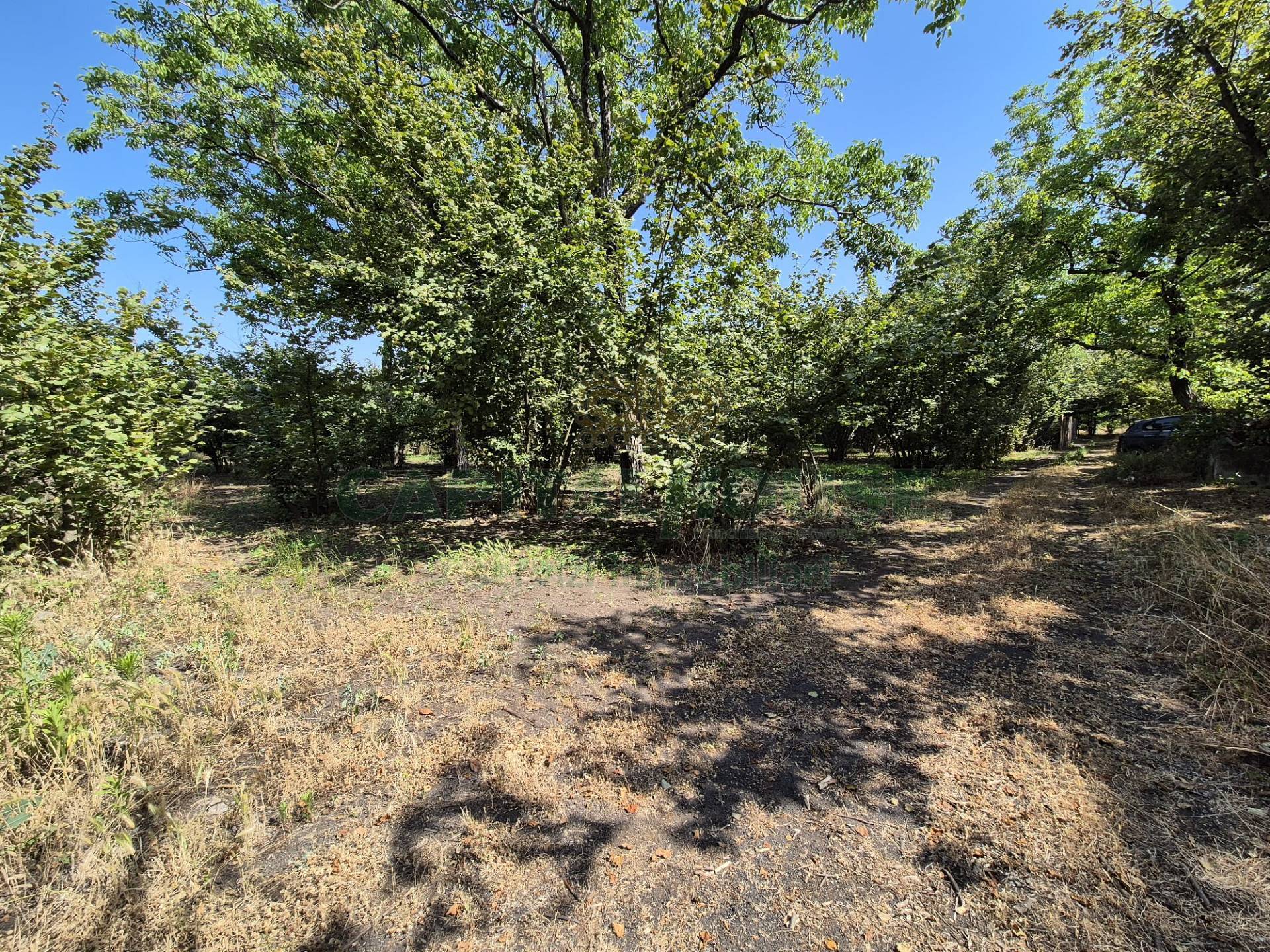 Terreno agricolo in vendita a Terzigno