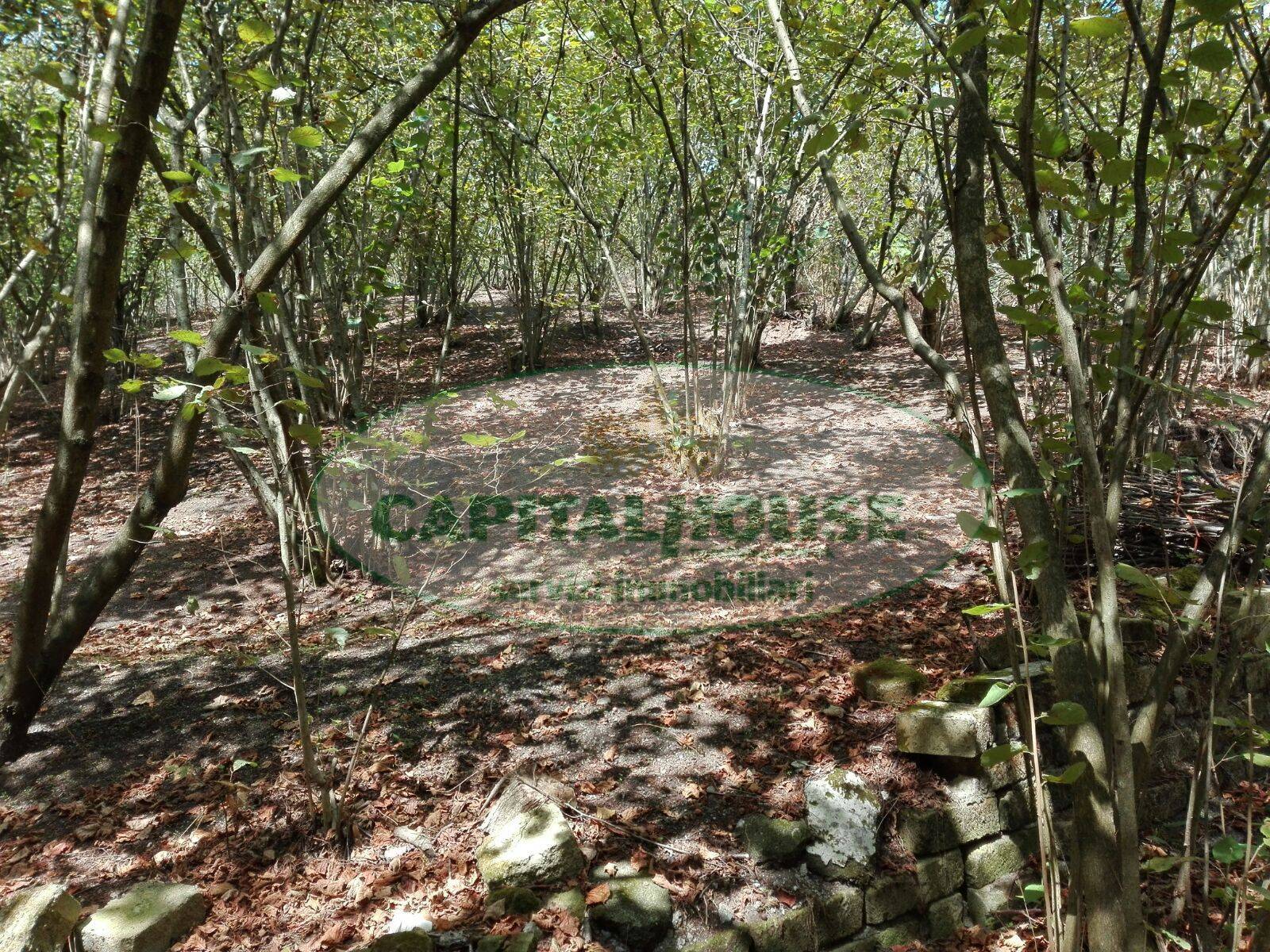 Terreno agricolo in vendita a Ottaviano