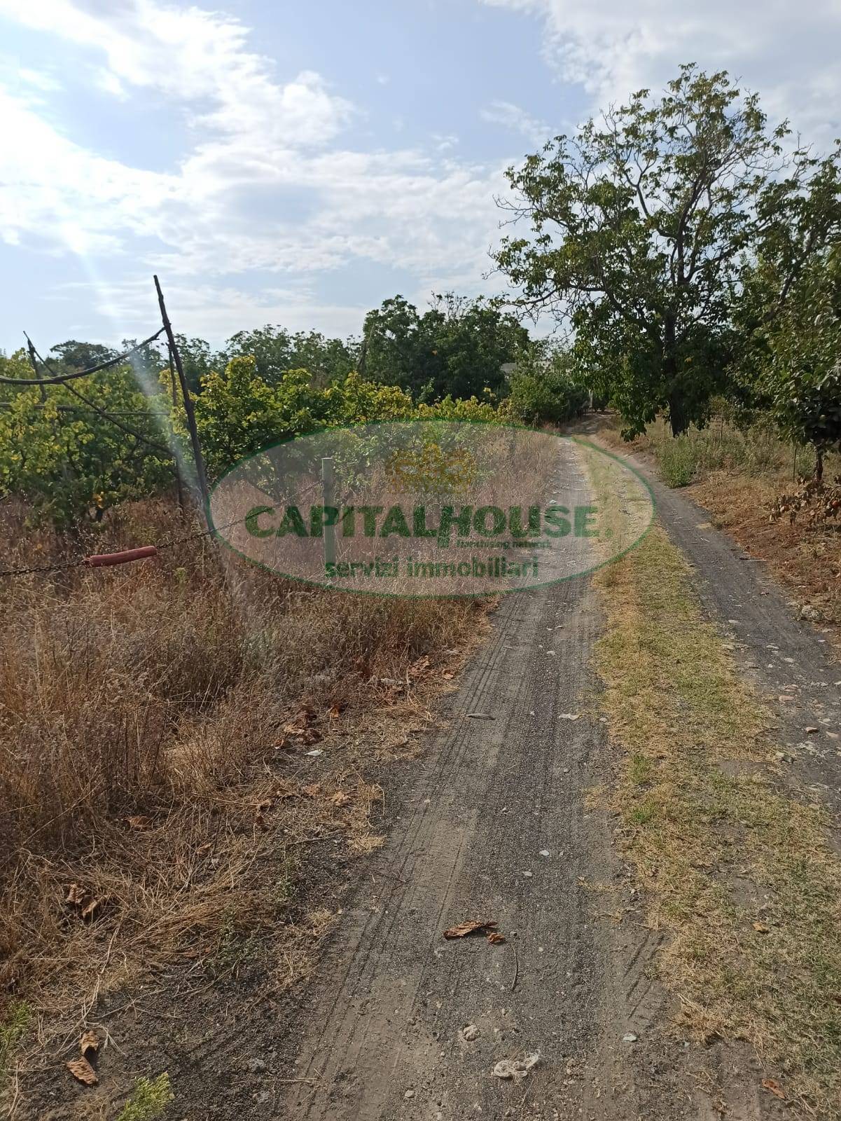 Terreno agricolo in vendita a Somma Vesuviana