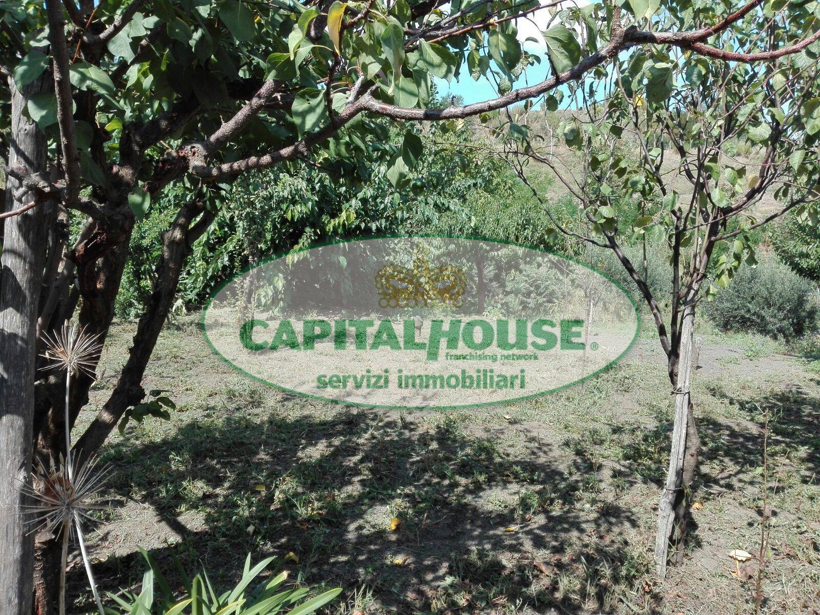 Terreno agricolo in vendita a Somma Vesuviana