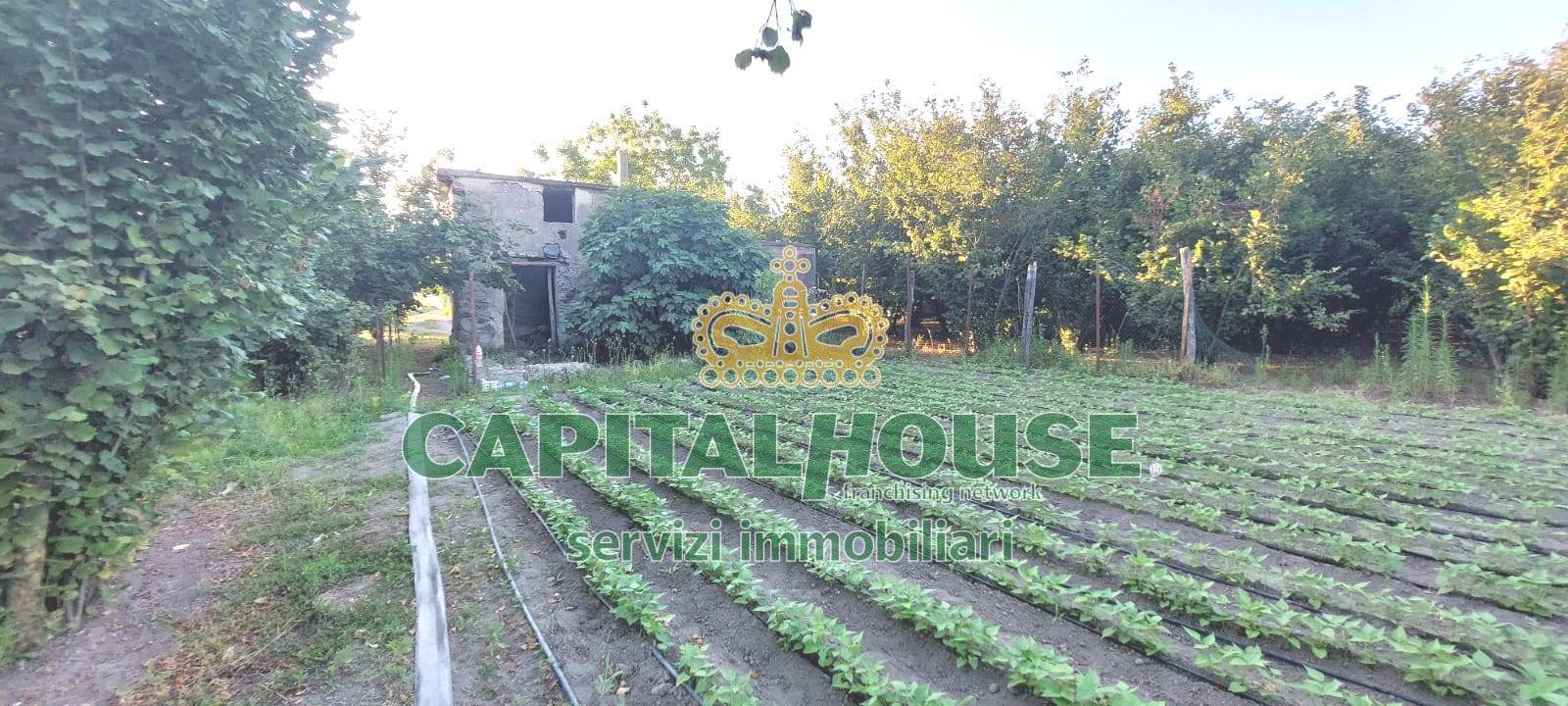 Terreno agricolo in vendita a Ottaviano