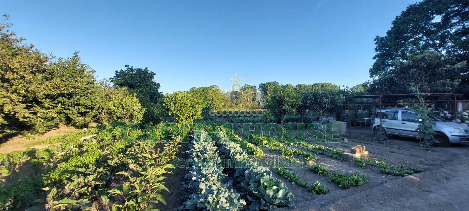 Terreno agricolo in vendita a Ottaviano