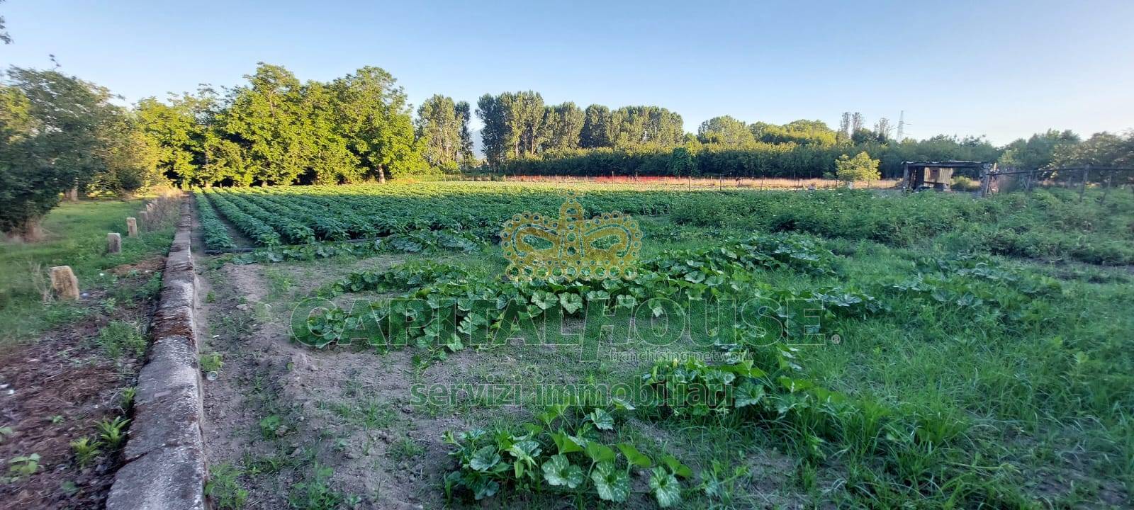 Terreno agricolo in vendita a Somma Vesuviana