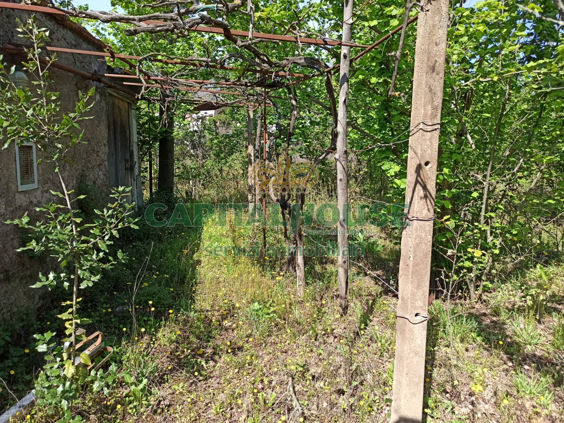 Terreno agricolo in vendita a San Giuseppe Vesuviano