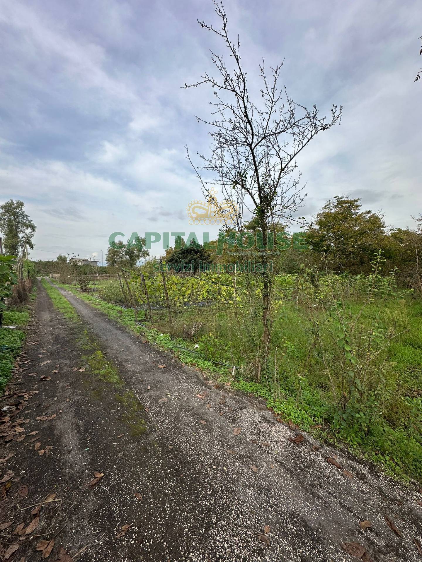 Terreno industriale in vendita a San Giuseppe Vesuviano
