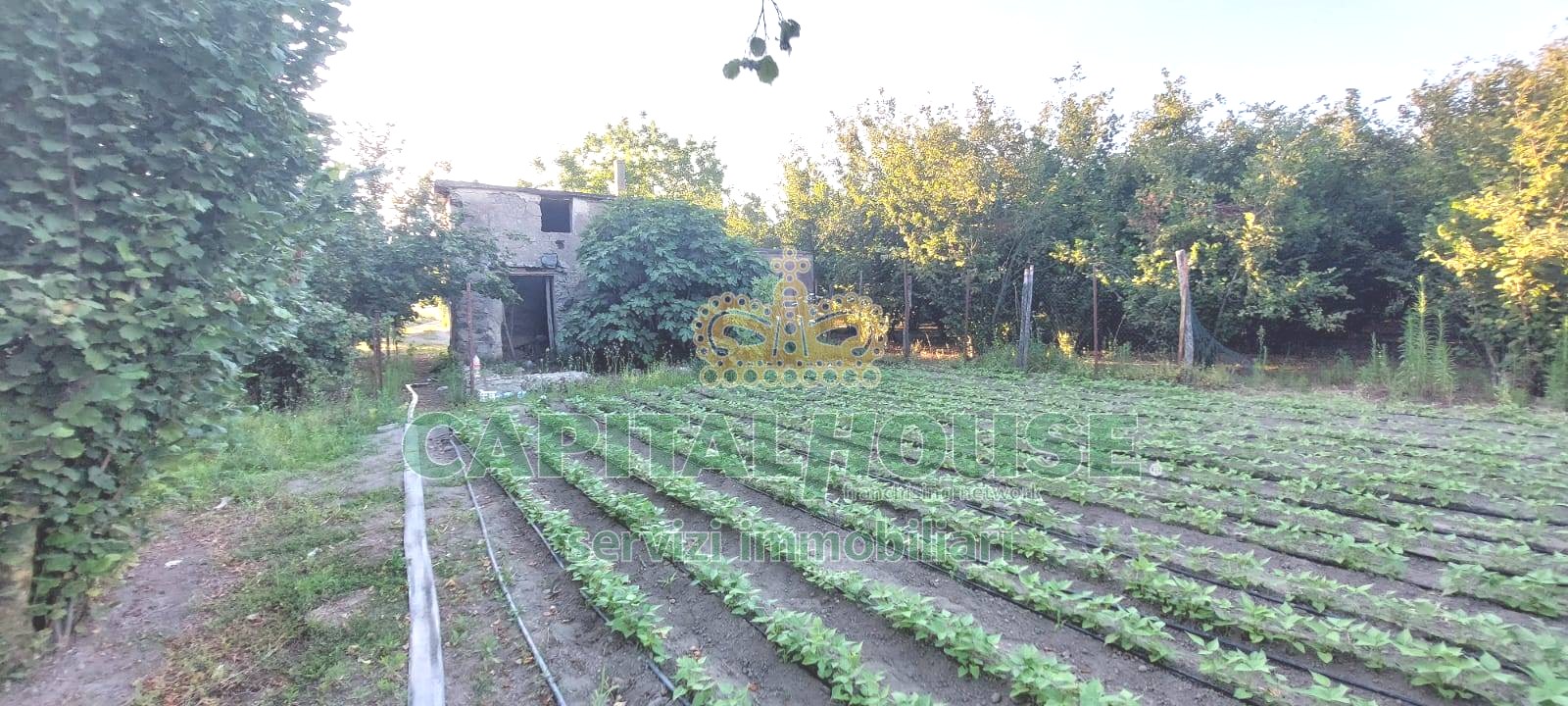 Rudere in vendita a Striano