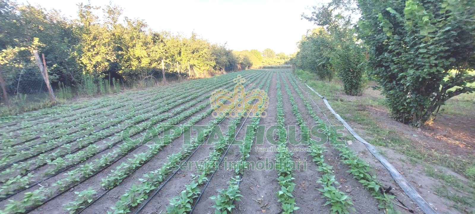Rudere in vendita a Striano