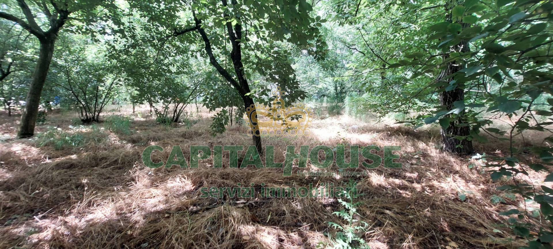 Terreno agricolo in affitto a San Gennaro Vesuviano