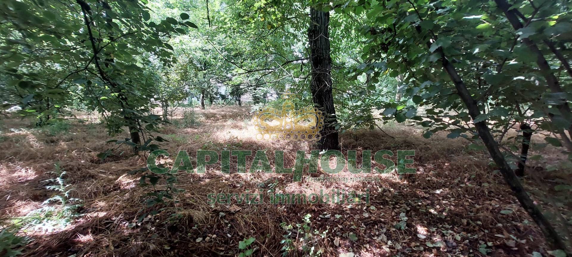 Terreno agricolo in affitto a San Gennaro Vesuviano