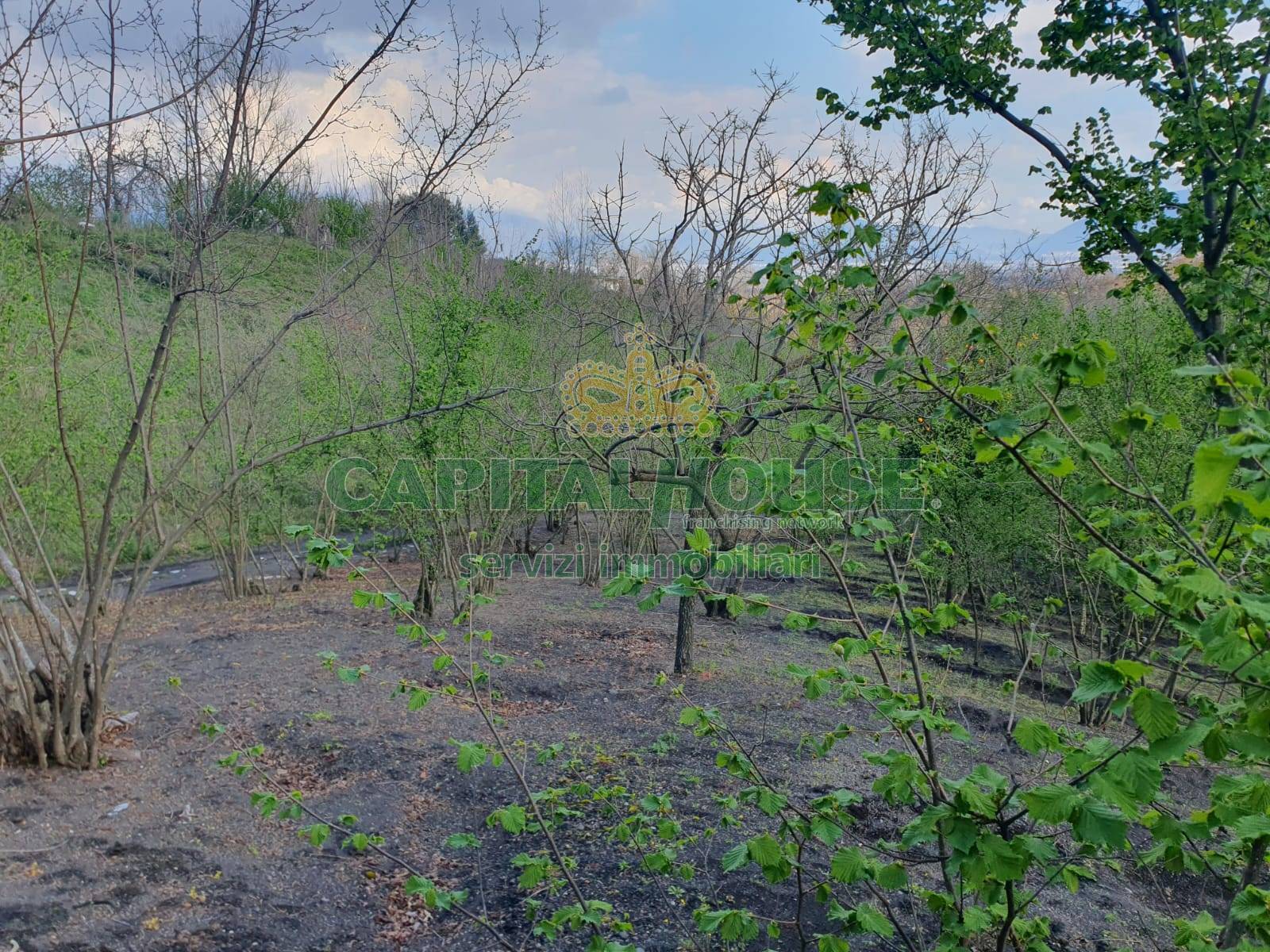 Terreno agricolo in vendita a Ottaviano