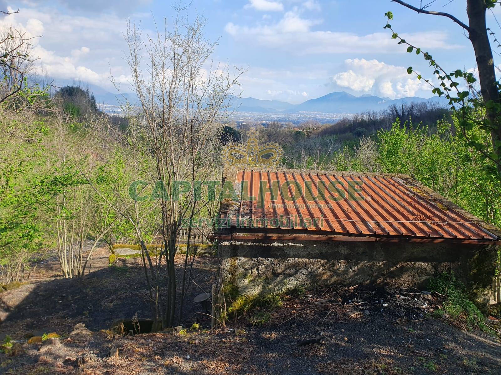 Terreno agricolo in vendita a Ottaviano