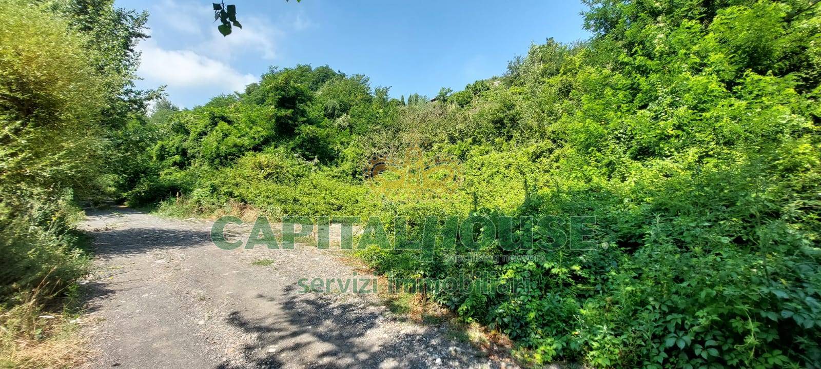 Terreno agricolo in vendita a Ottaviano