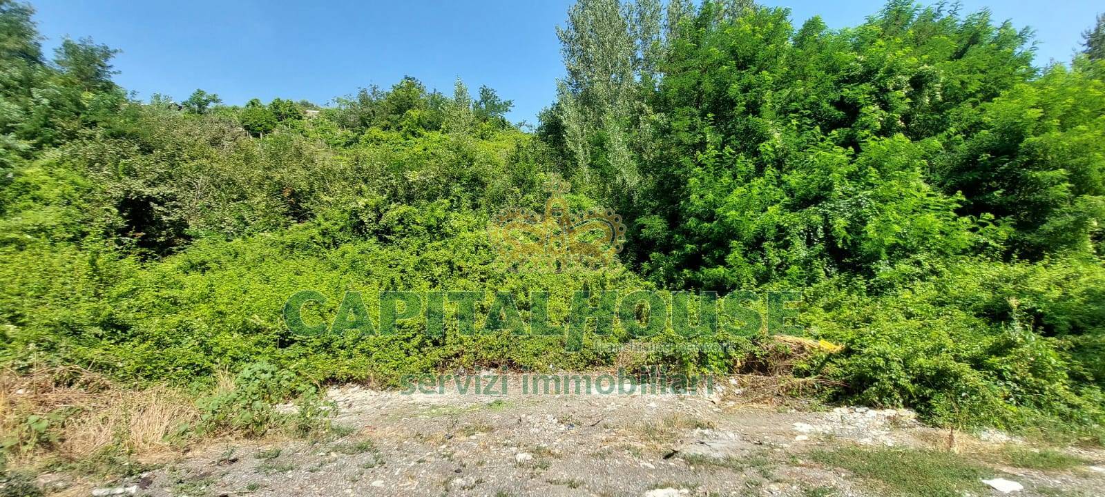 Terreno agricolo in vendita a Ottaviano