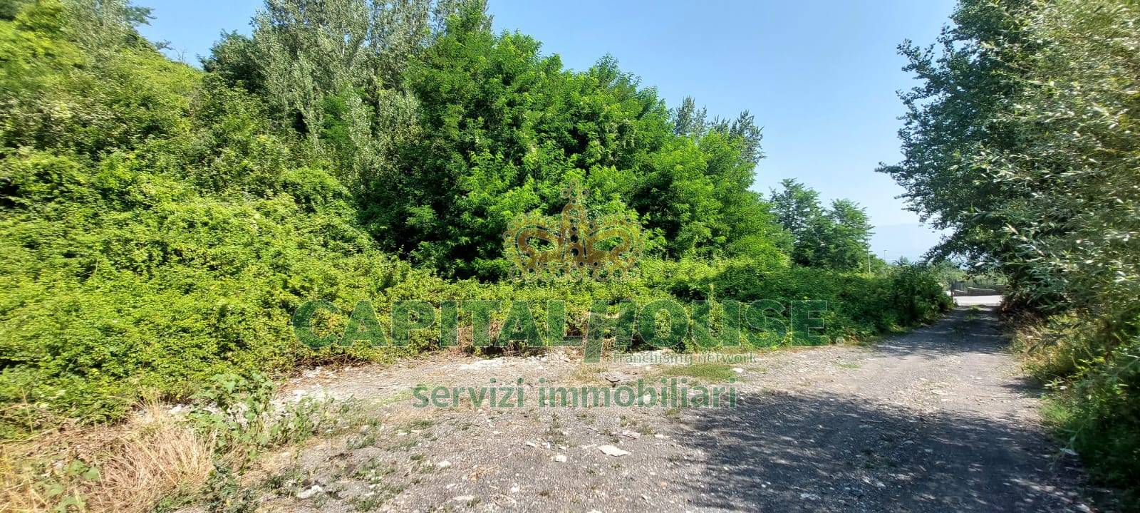 Terreno agricolo in vendita a Ottaviano