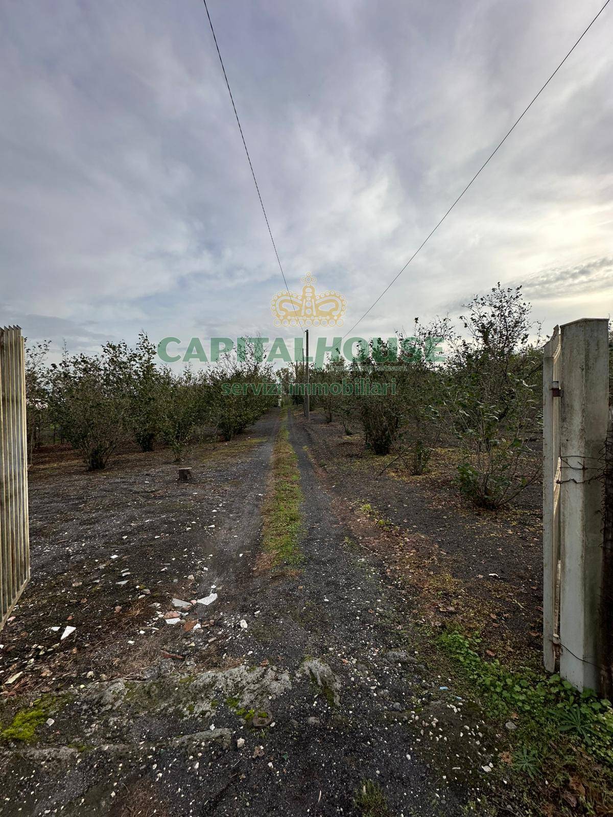 Terreno agricolo in vendita a Ottaviano